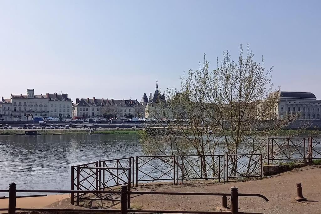Les Marronniers Appartement Centre Saumur Bord De Loire Exterior photo